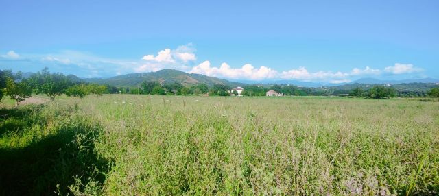 Terreno edificabile in vendita a Casal Velino (SA)