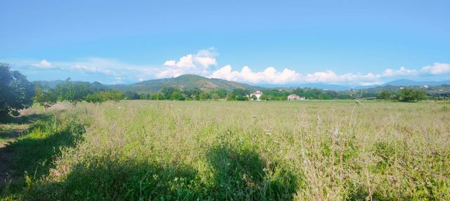 Terreno edificabile in vendita a Casal Velino (SA)