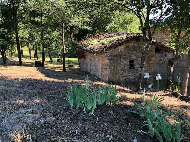 Rustico in vendita a Valsamoggia (BO)